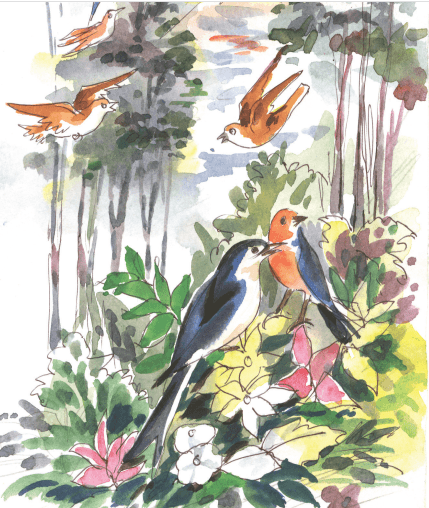 हम पंछी उन्मुक्त गगन के