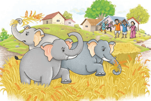 Unit 6 Mijbil the otter