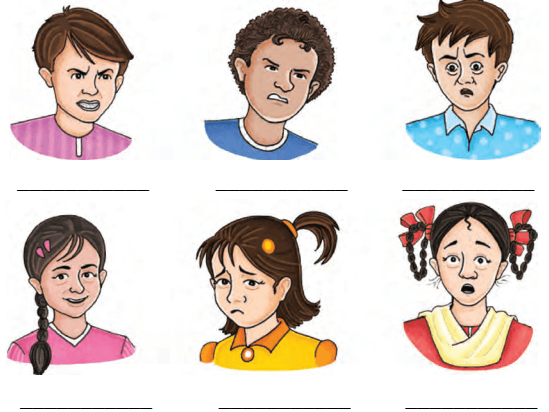 Unit 9 The Proposal Questions Answers