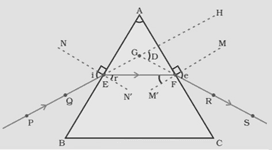 the human eye and the colourful world
