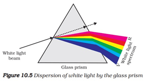 the human eye and the colourful world