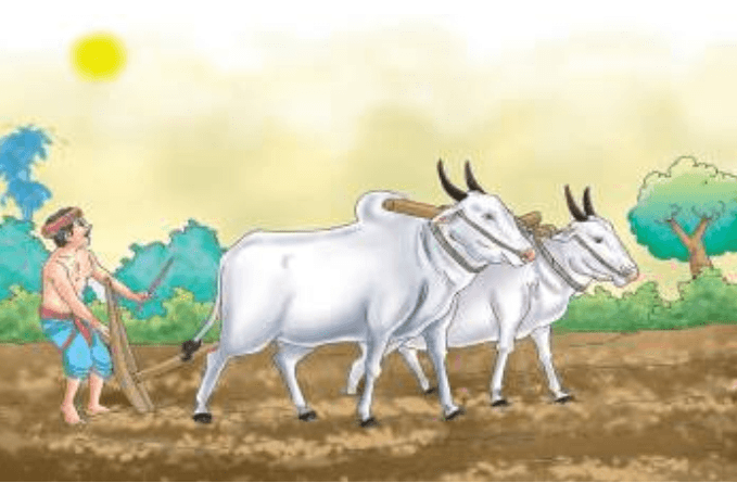 Ch-4-Chitravarnanan, Image 10