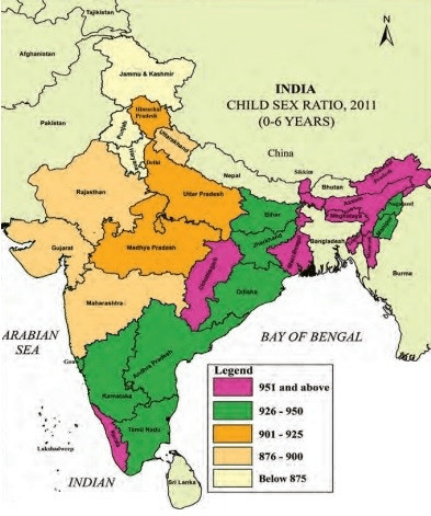 Ch 3 Gender, Religion and caste, Picture1