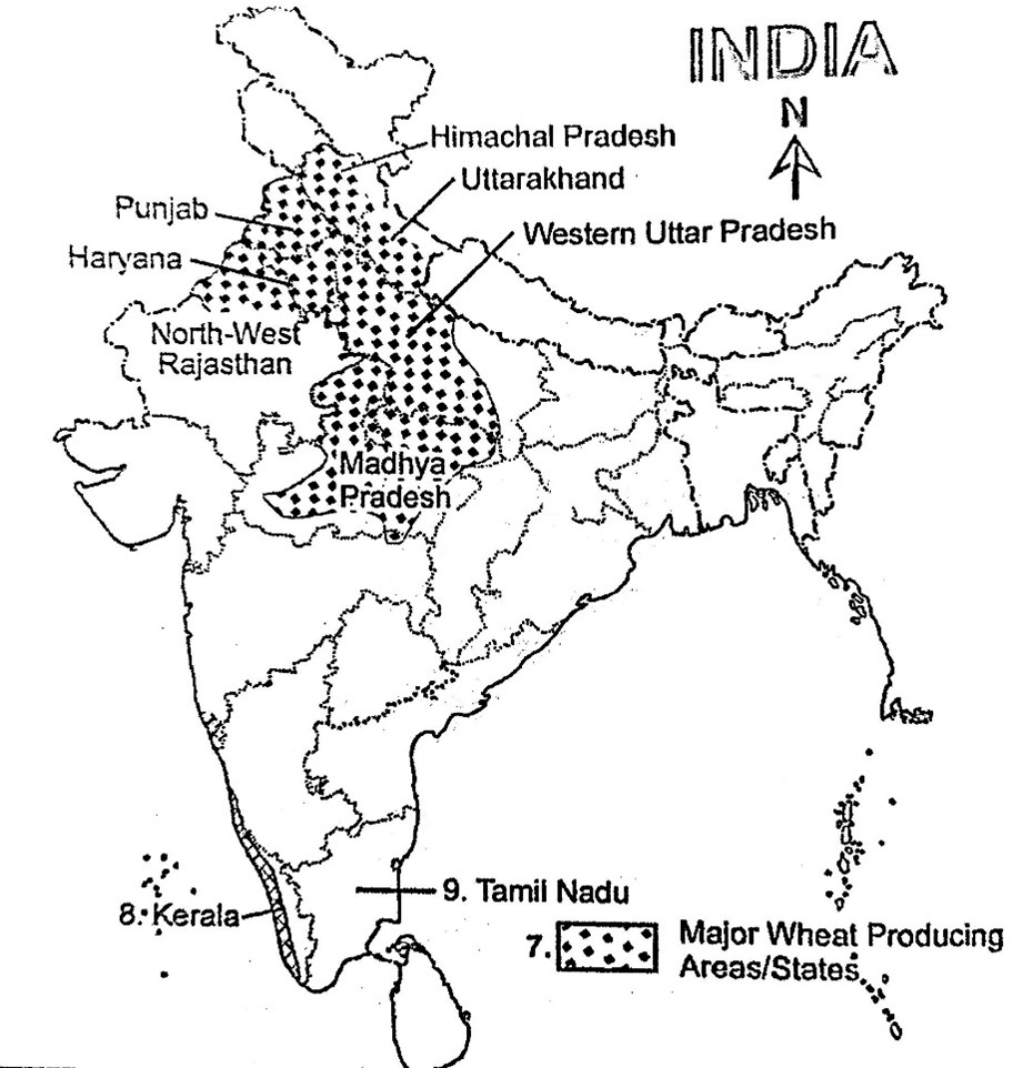 Ch-4-Agriculture, Picture1